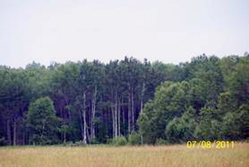 572 West M-72, Barton City, MI 48705 