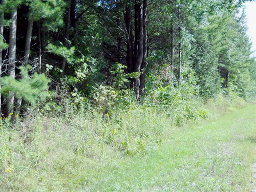 London Road, Mikado, MI 48745 