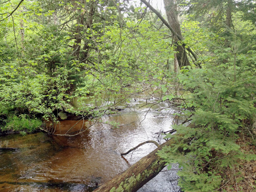 40 acres Huckleberry, Marion, MI 49665 