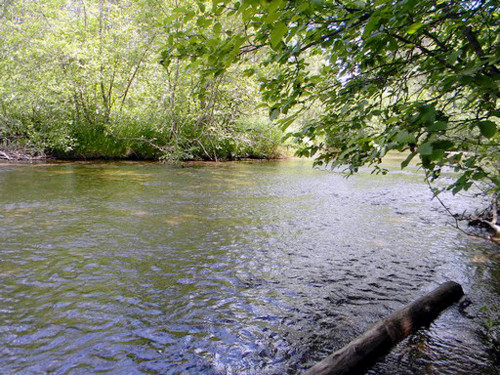 N/A Off Sage Lake Road, Lupton, MI 48635 