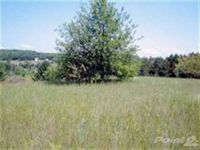 4-Acres Cemetary Road, Alden, MI 49612 