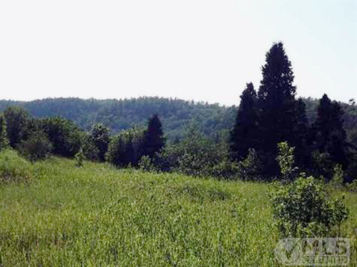 TBD Phoenix Farms Rd, Mohawk, MI 49950 