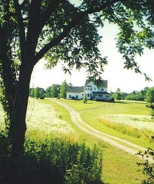 12 Mile, New Hudson, MI 48165 
