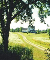 12 Mile, New Hudson, MI 48165 