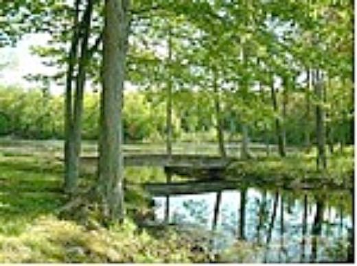 Secord Lake, Leonard, MI 48367 