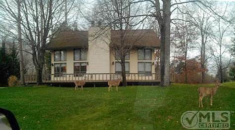 River Ridge Rd, Stanwood, MI 49346 