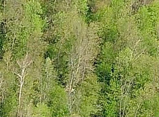 Milan-Oakville Rd, Milan, MI 48160 