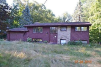 Frost, Williamston, MI 48895 
