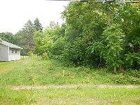 Paw Paw, Decatur, MI 49045 