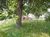 County Road #687, Hartford, MI 49057 