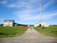 Irish, Otisville, MI 48463 