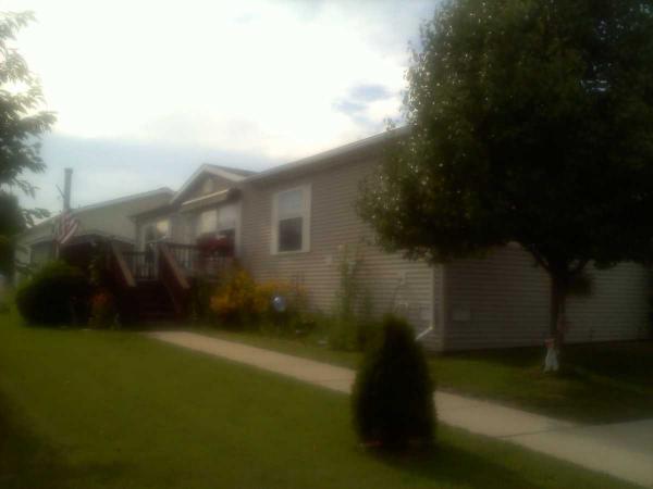 236 Dundee, Saline, MI 48176 
