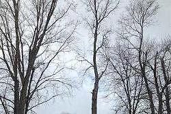 Farr, Ravenna, MI 49451 