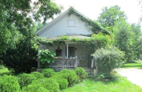 Madison, Chelsea, MI 48118 