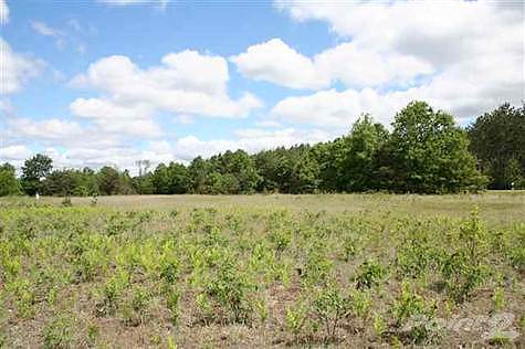 Etown, Interlochen, MI 49643 