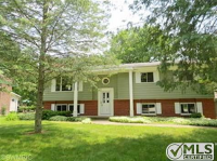 Vista, Fremont, MI 49412 