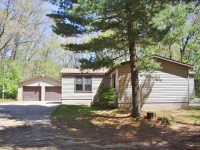 80Th, Newaygo, MI 49337 