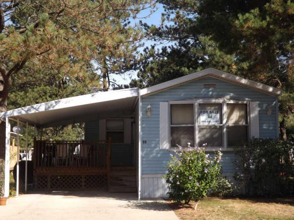 35 Evergreen Drive, Saint Louis, MI 48880 