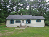 2991 S Elm Ave, White Cloud, MI 49349 