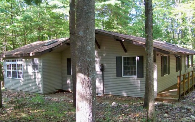 11229 N Caribou Trl, Irons, MI 49644 