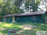 44Th St East, Chase, MI 49623 