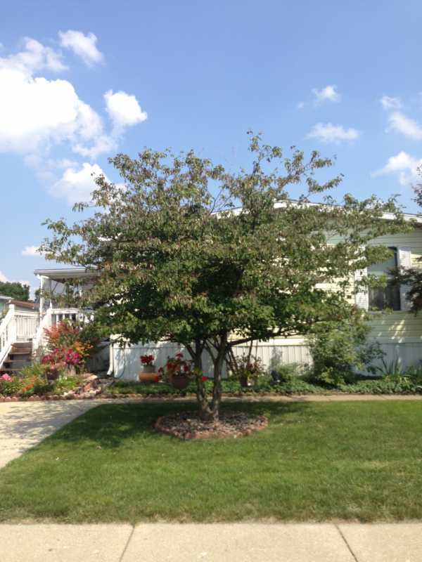 6655 Jackson Rd. Lot #681, Ann Arbor, MI 48103 