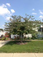 6655 Jackson Rd. Lot #681, Ann Arbor, MI 48103 
