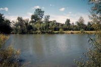 9247 post branch, Newport, MI 48166 