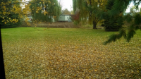 29650 Guilford, Chesterfield, MI 48051 