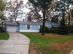 1115 Privet Lane, Howard City, MI 49329 