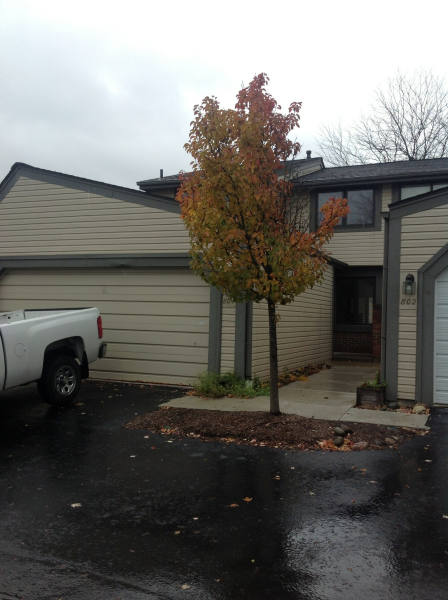 804 Revere Ct Unit 27, Northville, MI 48167 