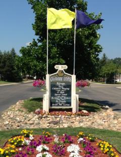 391 Red Pine Street, Fowlerville, MI 48836 