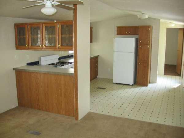 52 Live Oak Drive, Coopersville, MI 49404 