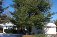 5036 Beech Ave, Kalamazoo, MI 49006 