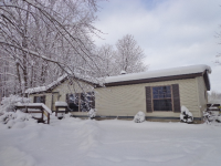 8133 W 116th St, Grant, MI 49327 
