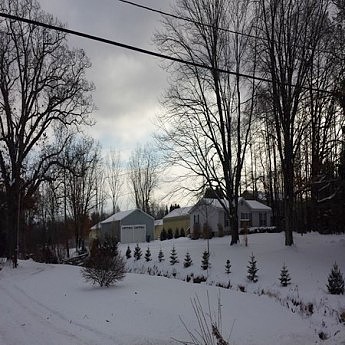 104Th, Grand Junction, MI 49056 