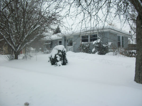 85 Orchard Drive, Sparta, MI 49345 