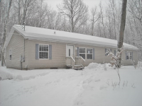 6611 Basswood Rd, Ludington, MI 49431 