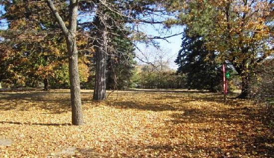 7854 East Point Douglas Road South, Cottage Grove, MN 55016 