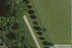 260Th, Litchfield, MN 55355 