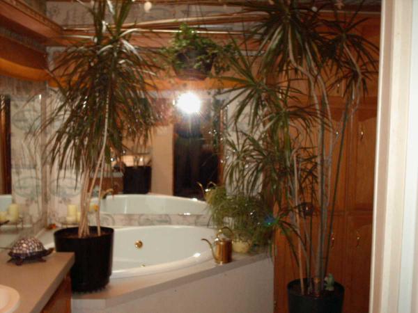 11533 6th Place, Blaine, MN 55434 