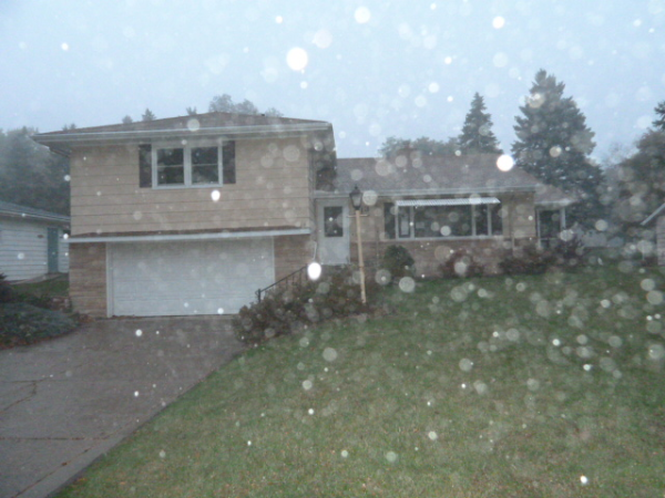 213 Hollett St E, Tracy, MN 56175 