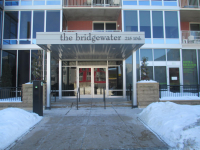 215 10th Ave S 507, Minneapolis, MN 55415 