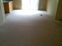 11254 N FARM ROAD 1, Walnut Grove, MO 65770 