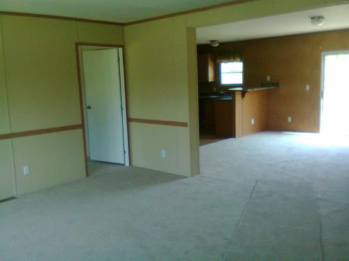 10011 STONE CREEK DR, Potosi, MO 63664 