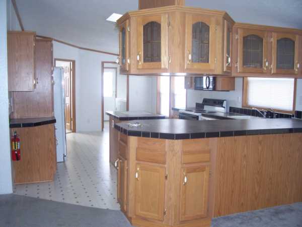 620 Blue bunting, Moscow Mills, MO 63362 