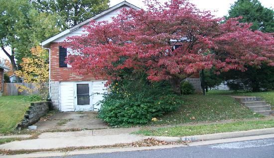 3530 Roy, Saint Louis, MO 63114 