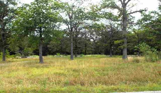 2596 Country Trail, Conway, MO 65632 