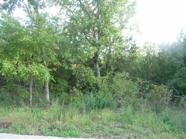 Sec 14 Twnshp 22 Rng 22 Sha, Branson, MO 65616 