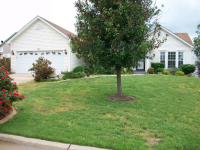 308 Hickory Wood Court, Lake Saint Louis, MO 63367 